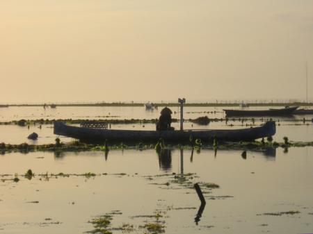 LES PAYSANS DE LA MER 3