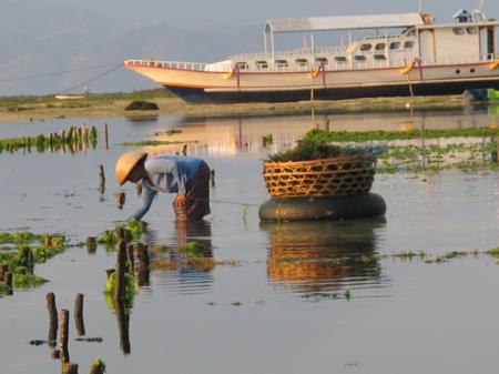 LES PAYSANS DE LA MER 7