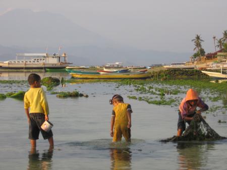 LES PAYSANS DE LA MER 6