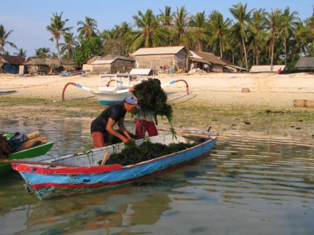 LES PAYSANS DE LA MER 9