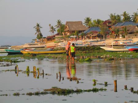 LES PAYSANS DE LA MER 15